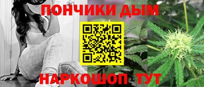 прущие грибы Заводоуковск