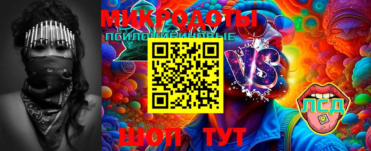 Шебекино  Псилоцибиновые грибы Psilocybe  где купить   Вход с VPN 